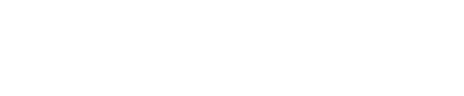 Evolvex-Logo-brother